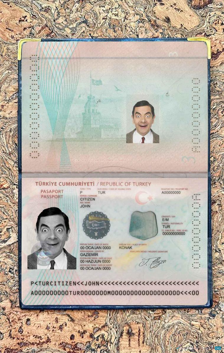 Download Turkey new Passport photo look Photoshop template